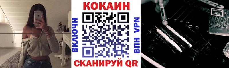 Cocaine FishScale  darknet как зайти  Ельня 