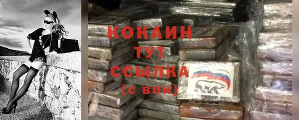 не бодяженный Арсеньев